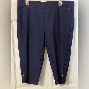 Navy Cropped Pants Women’s size 3XL NWOT